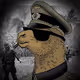 Album of the Third Reich