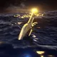 MessageInABottle
