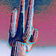 psychedelic suguaro