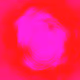 The Eternal Flower