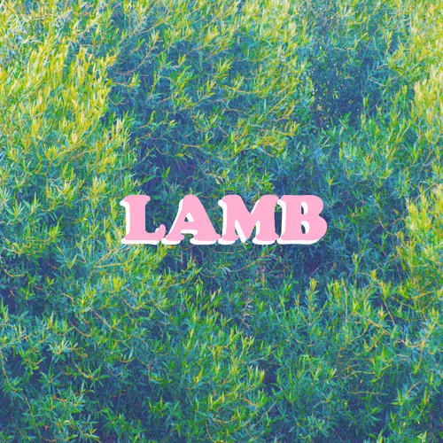 REECEY CO. Collection