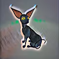 The Black Cat Collection