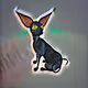 The Black Cat Collection