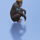 Ultimate Apes collection