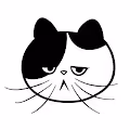 Koki Cat