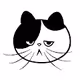 Koki Cat