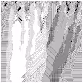 cellular automata 1000