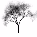 Slender Trees