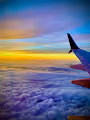 In Plane View