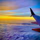 In Plane View