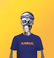 Skullsofhollywood Collection