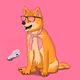 Shifty Shibs