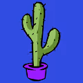 The Metaverse Cactuses - old