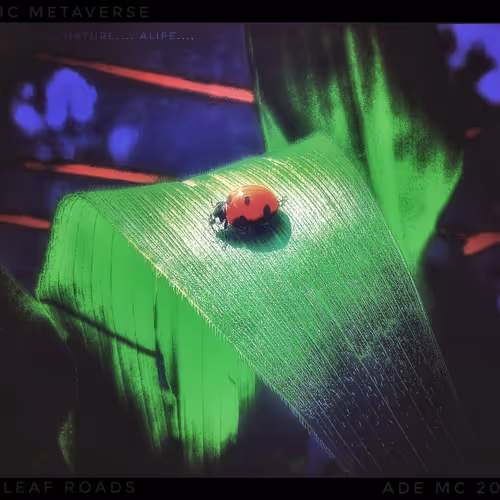 Organic Metaverse (Super Editions)