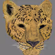 Leopard Focus