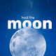 hodl the moon - old