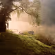 Remote Places