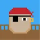 PetRock NFT