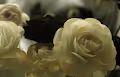 Gan Flowers