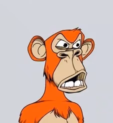 Build an  Ape by Reido