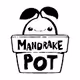 Mandrake Pot