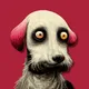 Who let the dog side?
