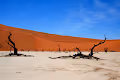 Inside Namibia