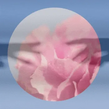 Interstellar Flower Delivery: Artefacts, Mission I