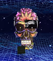 ColourHead