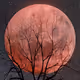 In the moonlight