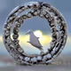 dance of the birds