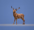 Crypto Rudolph - Cryptolph Limited