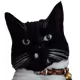 Grumpy Miscellaneous