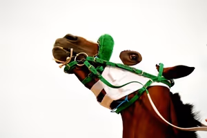 Horse Racing Life by Toro Rimoli