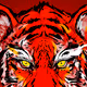 Tiger - Lunar New Year