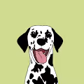 Spotty Dog