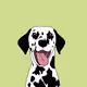 Spotty Dog
