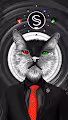 CRYPTO CAT SCRT
