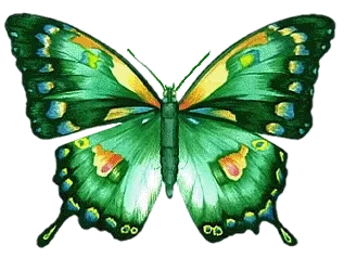 moving butterflies gif