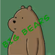 THE BIG BEAR5.