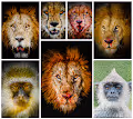 Wild Portrait Art - old