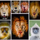Wild Portrait Art - old