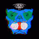 Species Mystery Masks