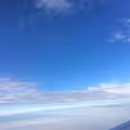 tanyanhong