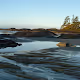 Tofino Collection