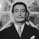 Salvador Dali Collections