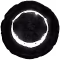 SVART COINS