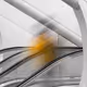 Velocity of Existence