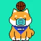 Px Shiba Inu