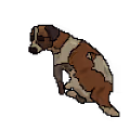 CuteDog Collection